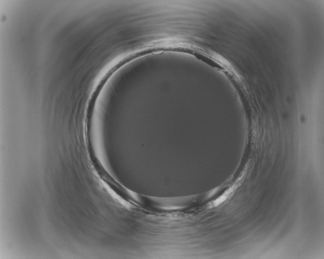 X0000067951334200604171426