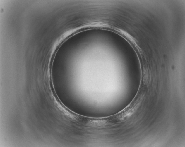 X0000067951335200604171426