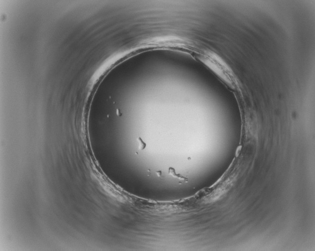 X0000067951336200604171426