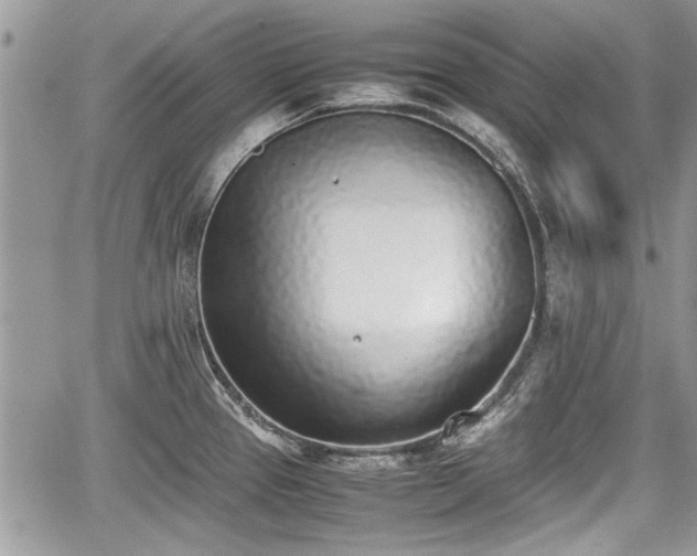 X0000067951337200604171426