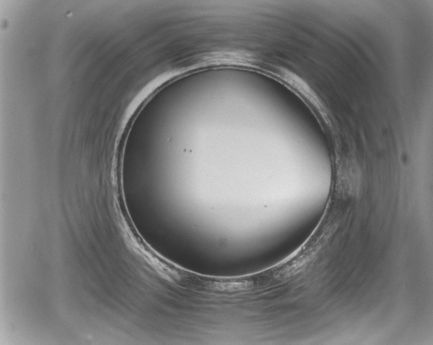 X0000067951339200604171426