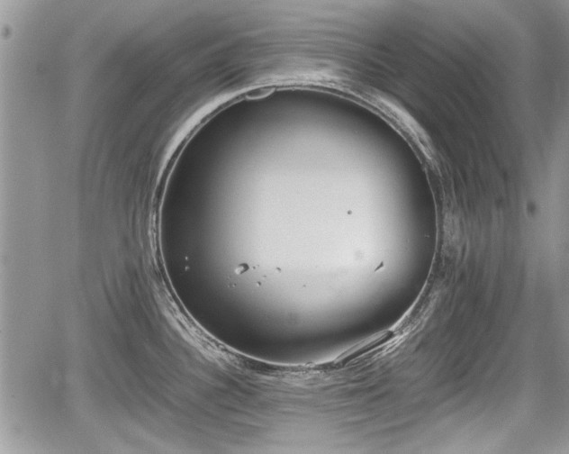 X0000067951340200604171426