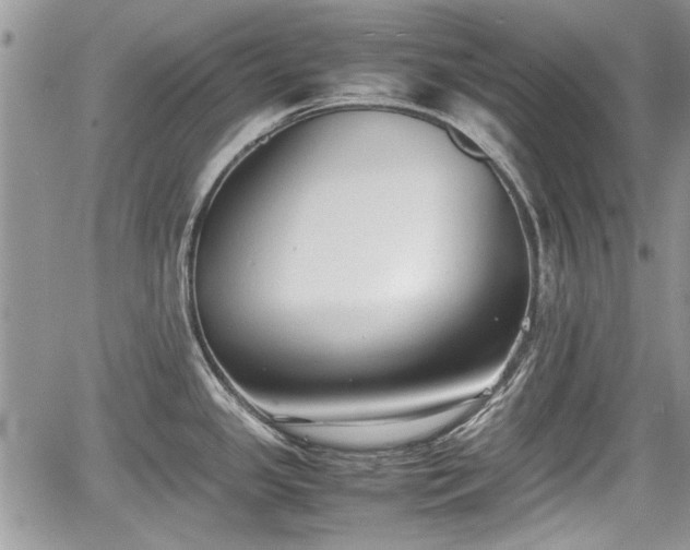 X0000067951341200604171426