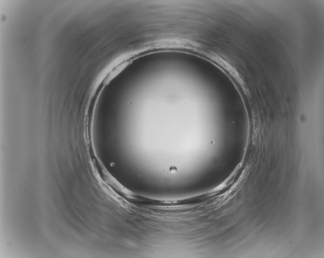 X0000067951342200604171426