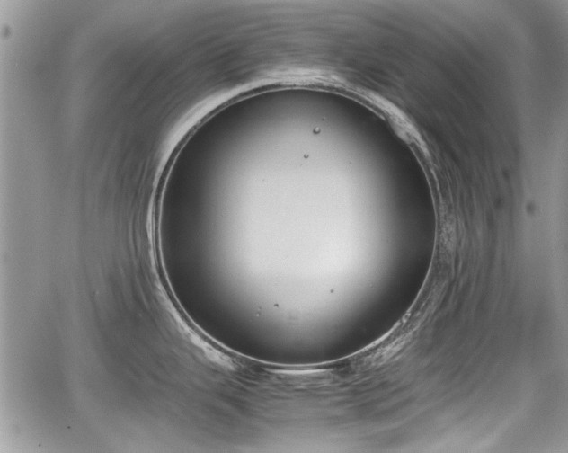 X0000067951343200604171426