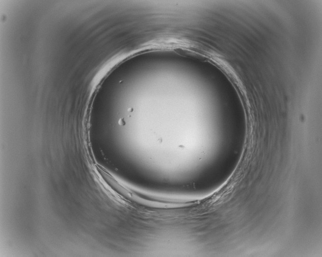 X0000067951344200604171426