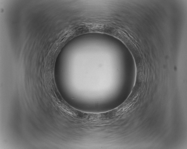 X0000067951345200604171425