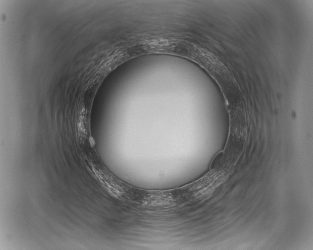 X0000067951346200604171425