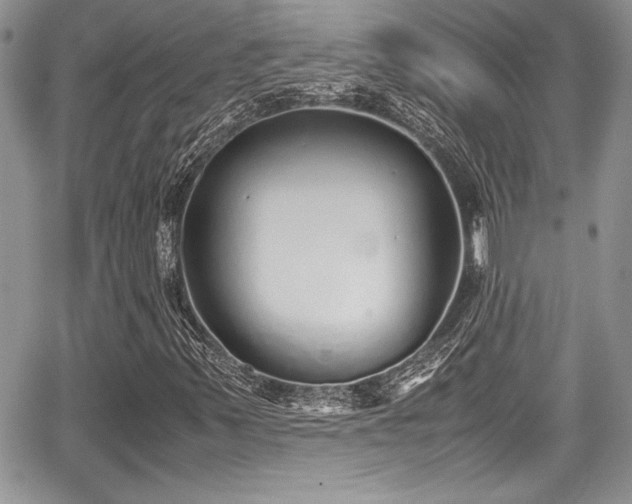 X0000067951347200604171425