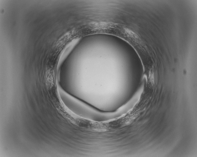 X0000067951348200604171425