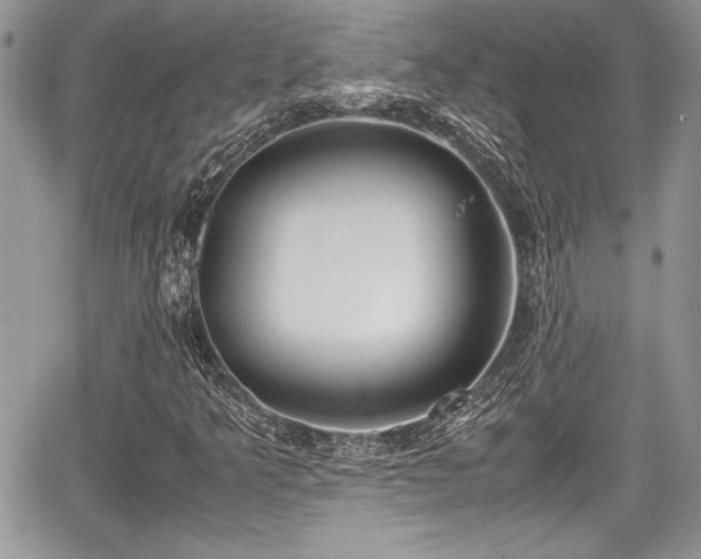 X0000067951349200604171425