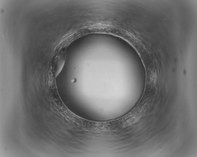 X0000067951350200604171425