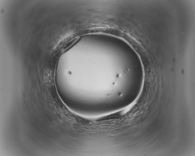 X0000067951351200604171425