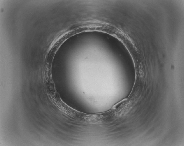 X0000067951352200604171425