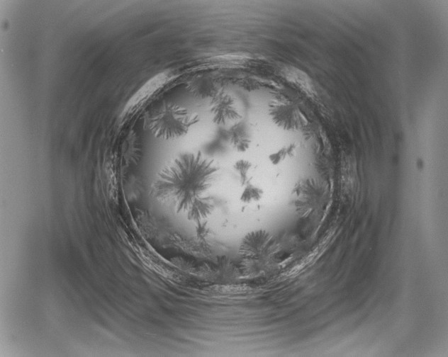 X0000067951354200604171425