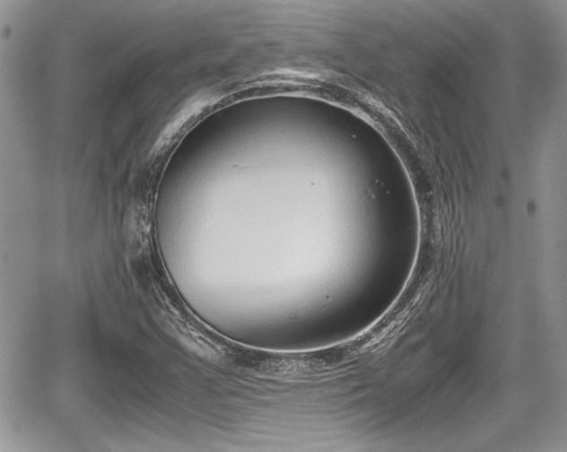 X0000067951355200604171425