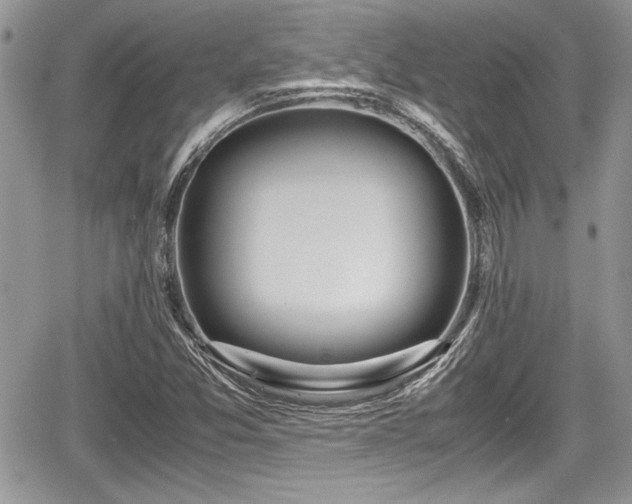 X0000067951357200604171425