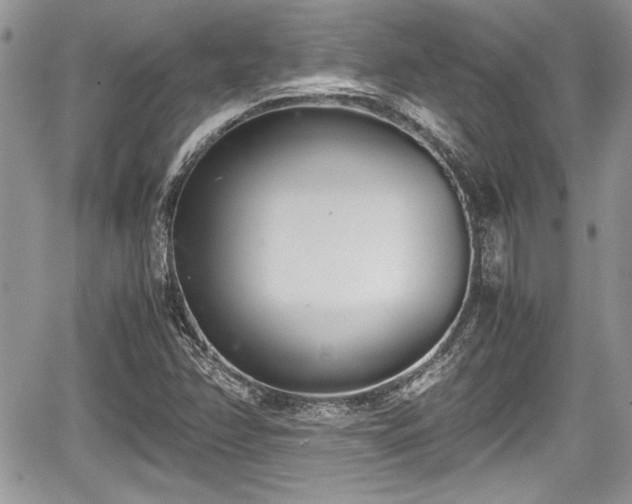 X0000067951358200604171425