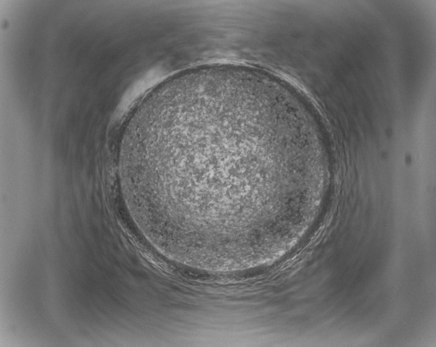 X0000067951359200604171425