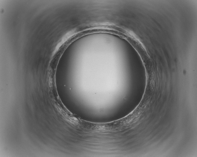 X0000067951360200604171425