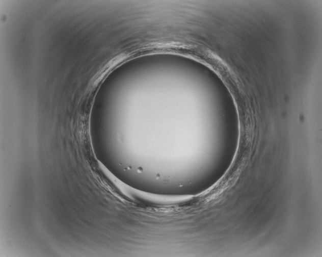 X0000067951361200604171425