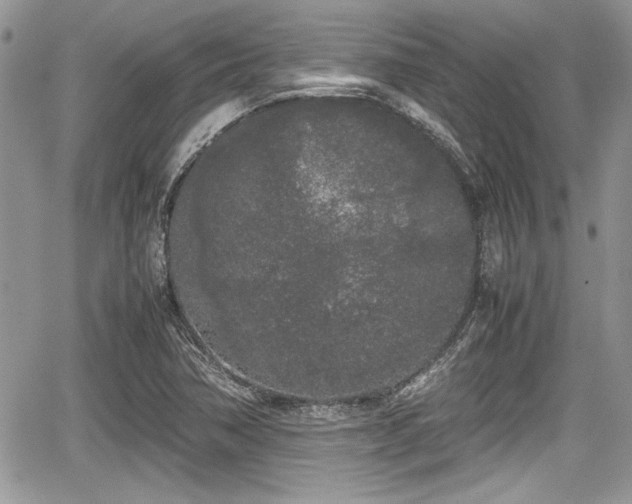 X0000067951362200604171425