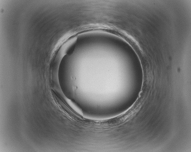 X0000067951365200604171425