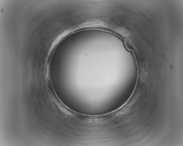 X0000067951366200604171425