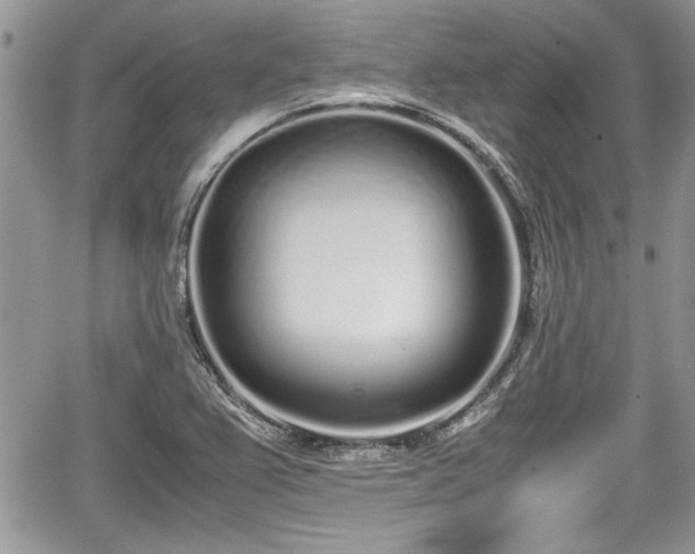 X0000067951367200604171425