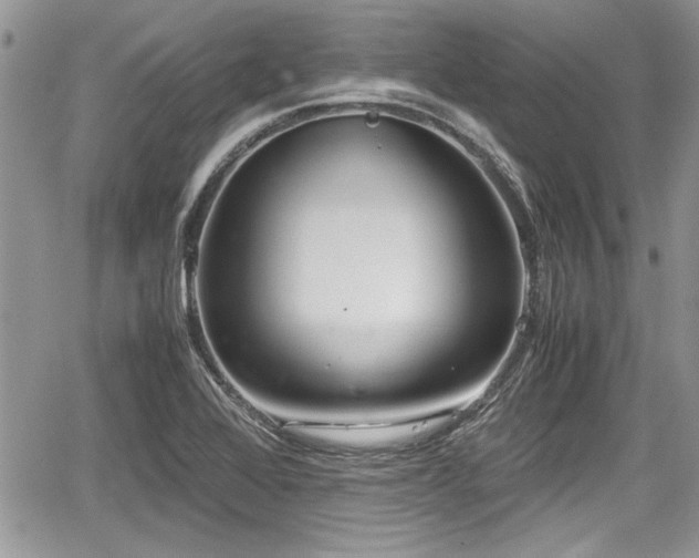 X0000067951368200604171425