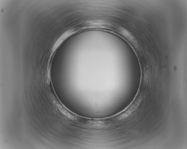 X0000067951370200604171424