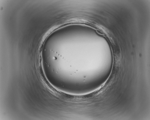 X0000067951371200604171424