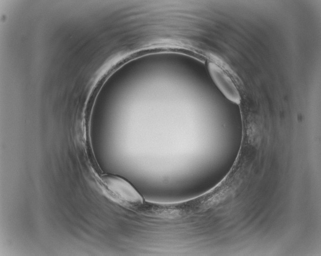 X0000067951372200604171424