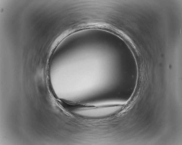 X0000067951373200604171424