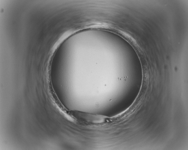 X0000067951375200604171424