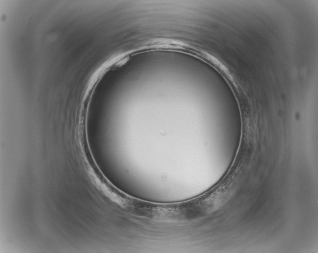 X0000067951379200604171424