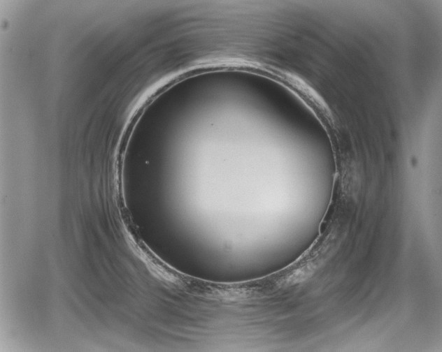 X0000067951380200604171424