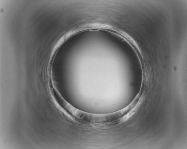 X0000067951381200604171424