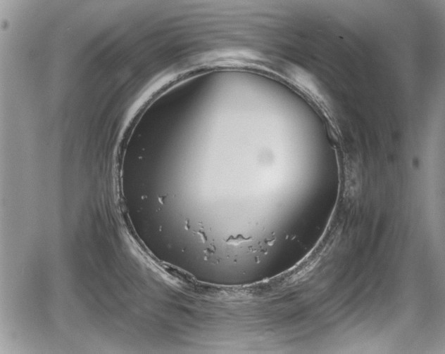 X0000067951384200604171424