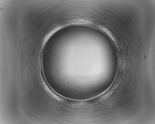 X0000067951387200604171424