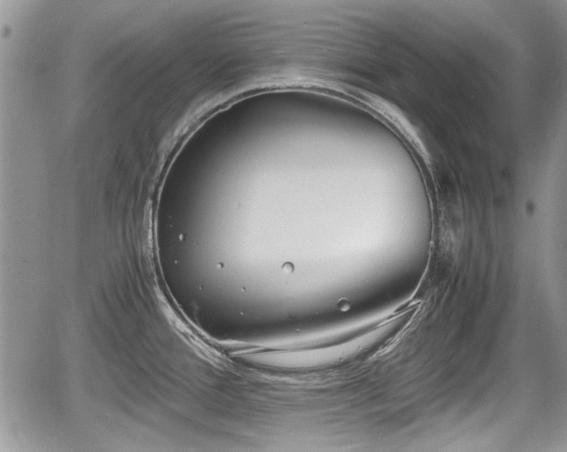 X0000067951388200604171424