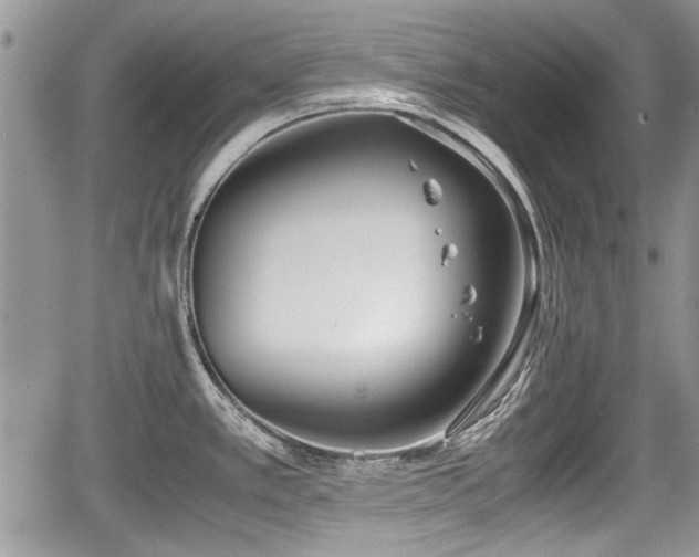 X0000067951389200604171424