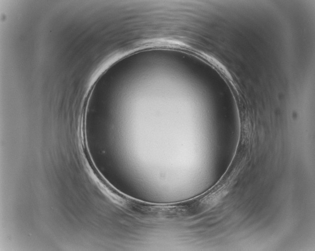 X0000067951391200604171424