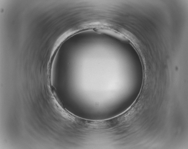 X0000067951392200604171424