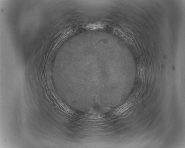 X0000067951393200604171423