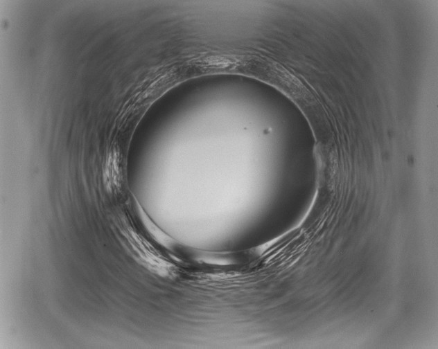 X0000067951394200604171423