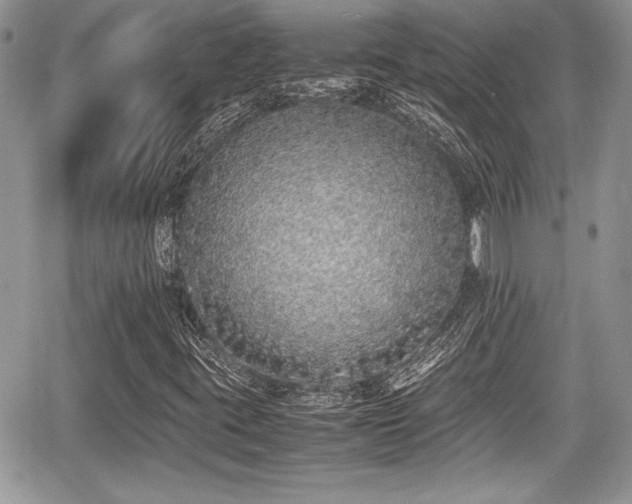 X0000067951395200604171423