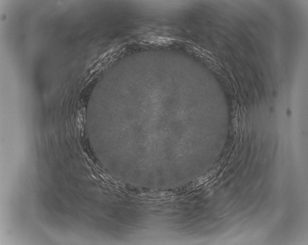 X0000067951397200604171423