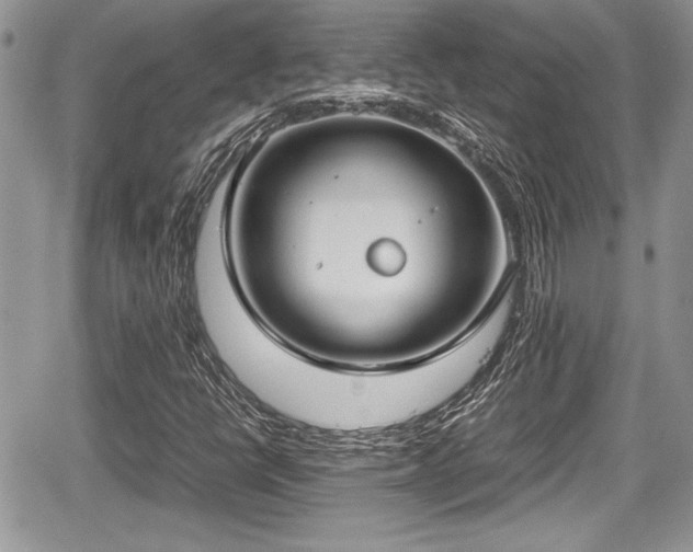 X0000067951398200604171423