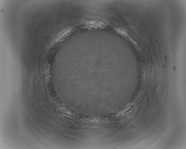 X0000067951399200604171423